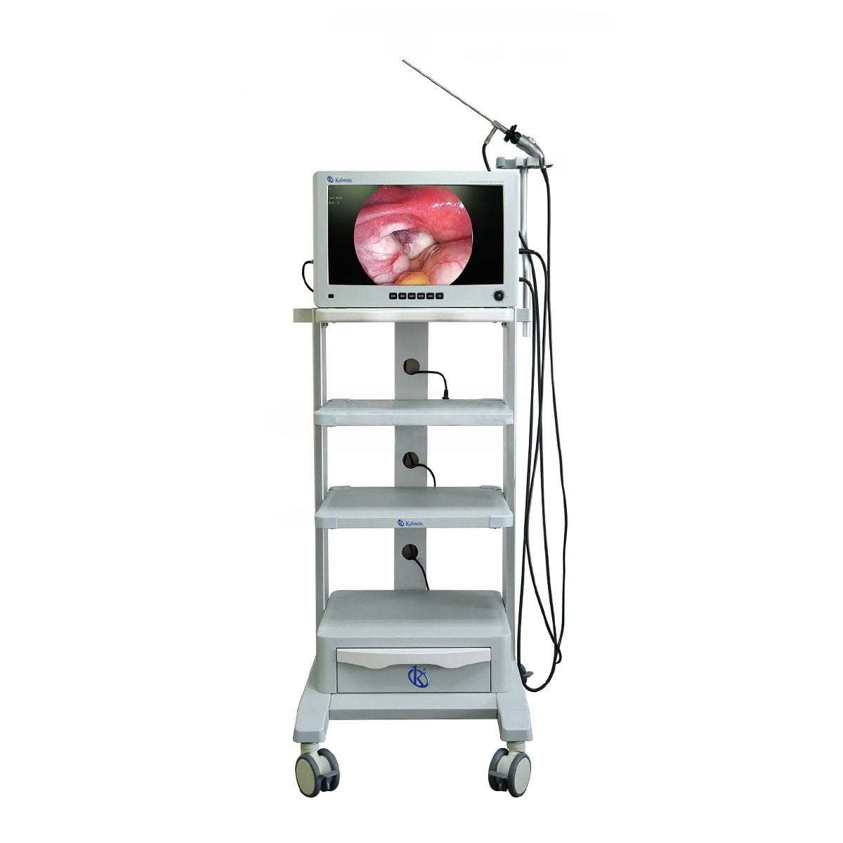 26inch Mobile HighDefinition Endoscopic Imaging System YR06156 Kalstein